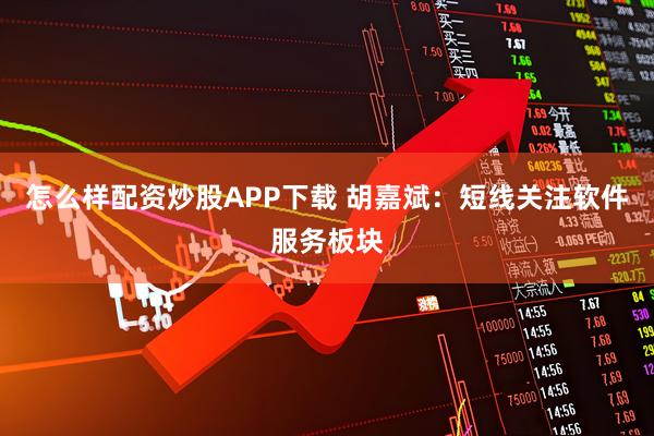 怎么样配资炒股APP下载 胡嘉斌:短线关注软件服务板块