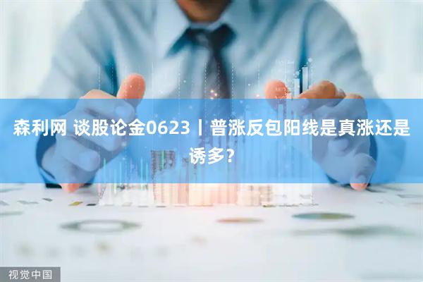 森利网 谈股论金0623丨普涨反包阳线是真涨还是诱多?