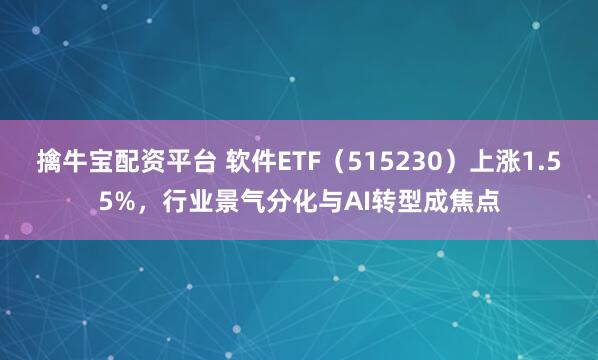 擒牛宝配资平台 软件ETF(515230)上涨1.55%,行业景气分化与AI转型成焦点