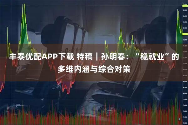 丰泰优配APP下载 特稿｜孙明春：“稳就业”的多维内涵与综合对策