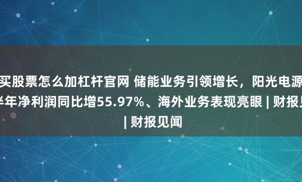 买股票怎么加杠杆官网 储能业务引领增长，阳光电源上半年净利润同比增55.97%、海外业务表现亮眼 | 财报见闻